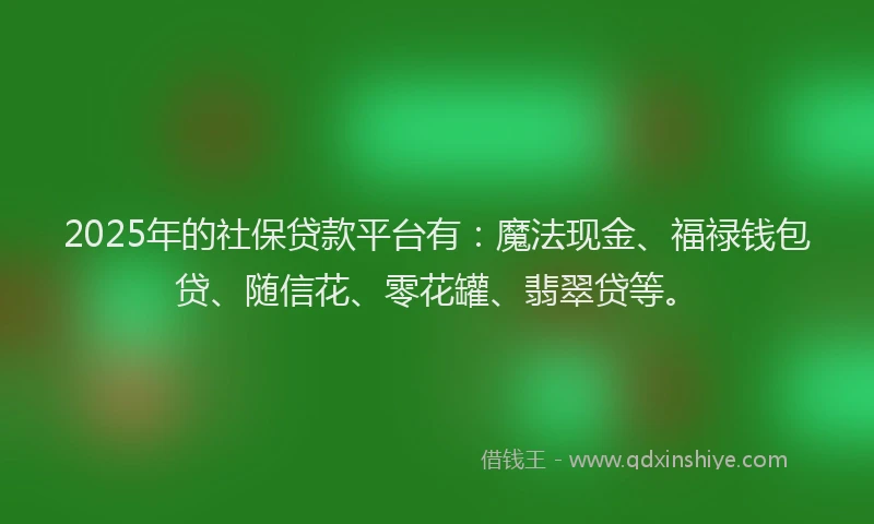2025年的社保贷款平台有：魔法现金、福禄钱包贷、随信花、零花罐、翡翠贷等。