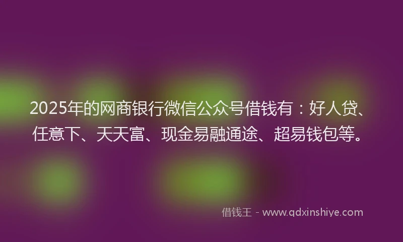 2025年的网商银行微信公众号借钱有：好人贷、任意下、天天富、现金易融通途、超易钱包等。