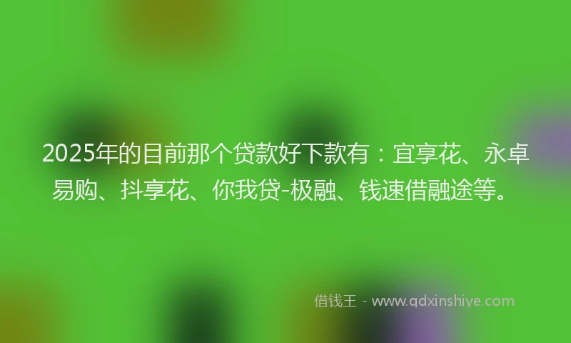 2025年的目前那个贷款好下款有：宜享花、永卓易购、抖享花、你我贷-极融、钱速借融途等。