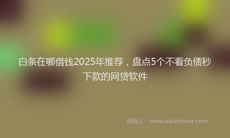 白条在哪借钱2025年推荐，盘点5个不看负债秒下款的网贷软件