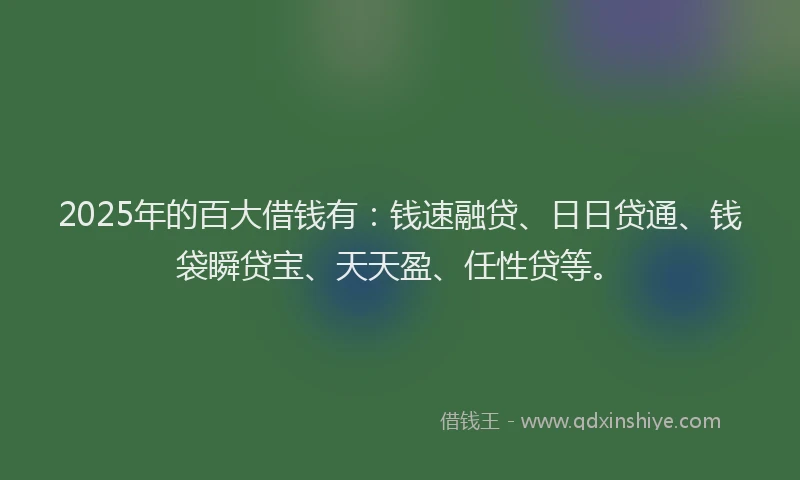 2025年的百大借钱有：钱速融贷、日日贷通、钱袋瞬贷宝、天天盈、任性贷等。