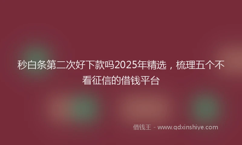 秒白条第二次好下款吗2025年精选，梳理五个不看征信的借钱平台