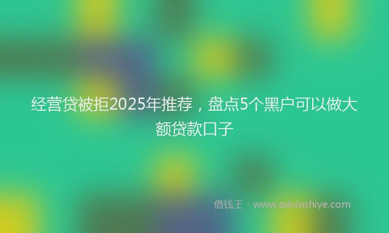 经营贷被拒2025年推荐，盘点5个黑户可以做大额贷款口子