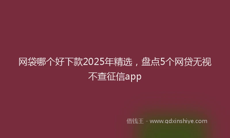 网袋哪个好下款2025年精选，盘点5个网贷无视不查征信app