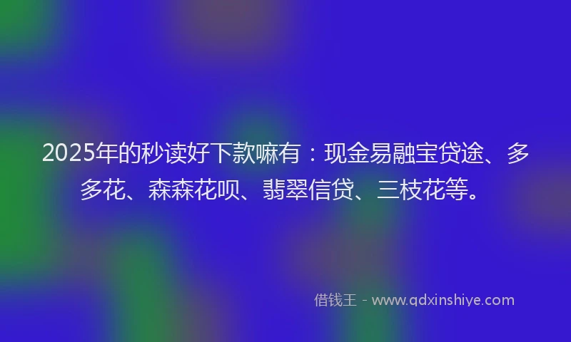 2025年的秒读好下款嘛有：现金易融宝贷途、多多花、森森花呗、翡翠信贷、三枝花等。