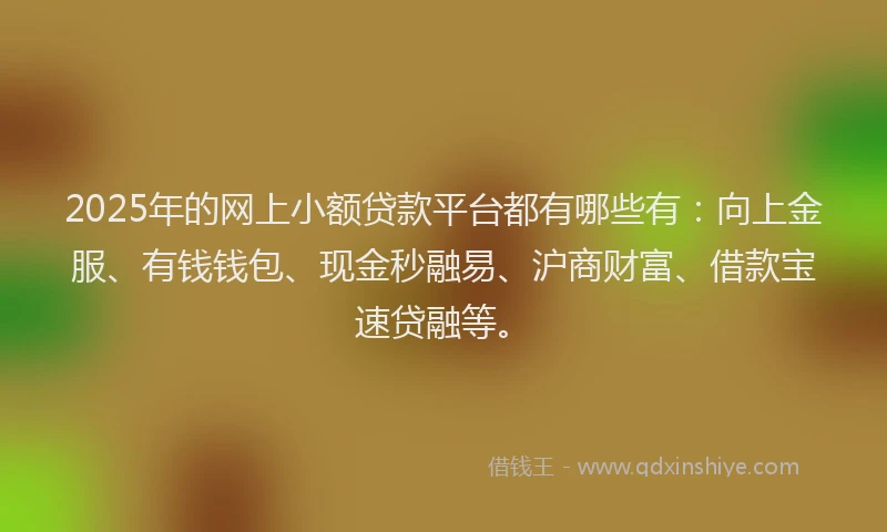 2025年的网上小额贷款平台都有哪些有：向上金服、有钱钱包、现金秒融易、沪商财富、借款宝速贷融等。