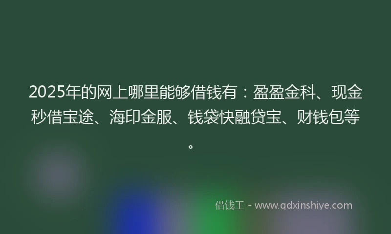 2025年的网上哪里能够借钱有：盈盈金科、现金秒借宝途、海印金服、钱袋快融贷宝、财钱包等。