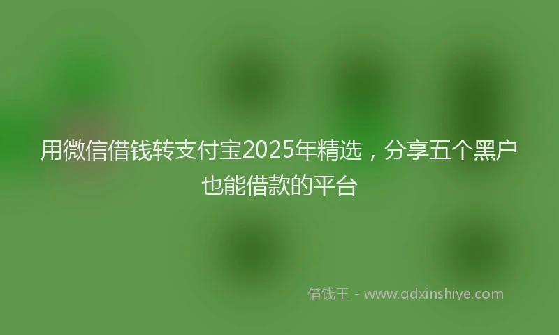 用微信借钱转支付宝2025年精选，分享五个黑户也能借款的平台