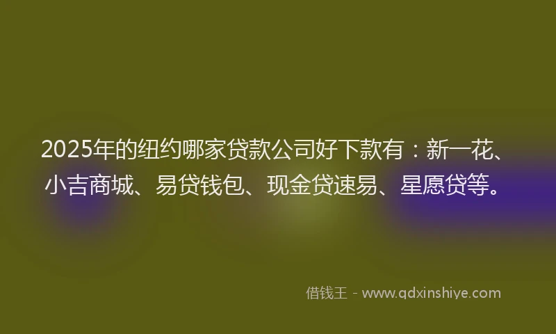 2025年的纽约哪家贷款公司好下款有：新一花、小吉商城、易贷钱包、现金贷速易、星愿贷等。
