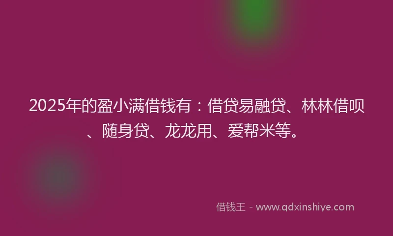 2025年的盈小满借钱有：借贷易融贷、林林借呗、随身贷、龙龙用、爱帮米等。