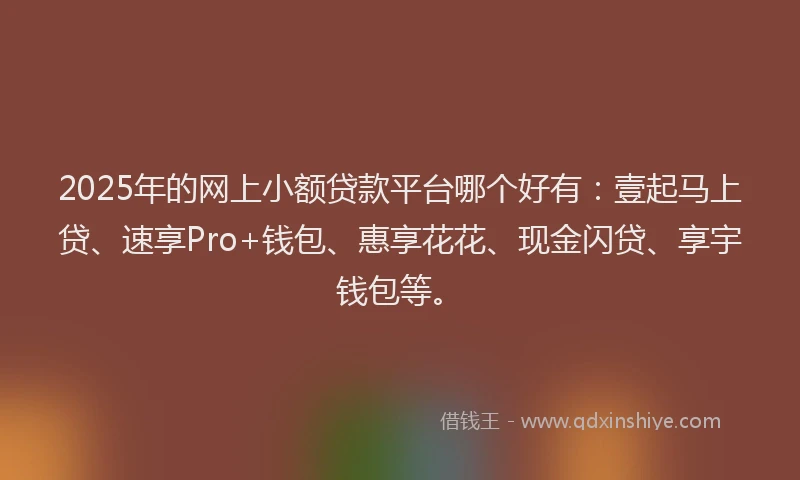 2025年的网上小额贷款平台哪个好有：壹起马上贷、速享Pro+钱包、惠享花花、现金闪贷、享宇钱包等。