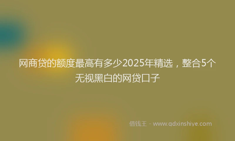 网商贷的额度最高有多少2025年精选，整合5个无视黑白的网贷口子