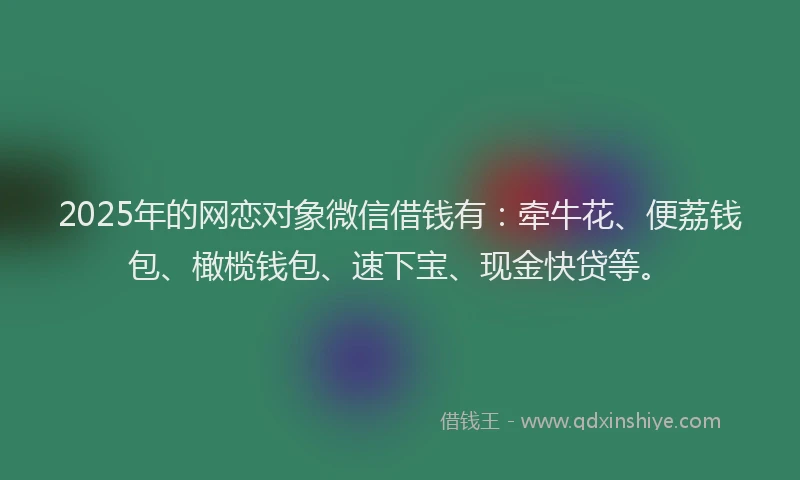 2025年的网恋对象微信借钱有：牵牛花、便荔钱包、橄榄钱包、速下宝、现金快贷等。
