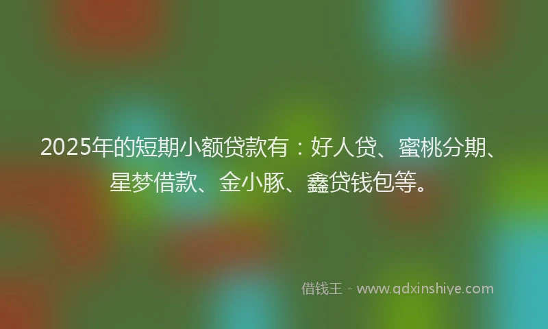 2025年的短期小额贷款有：好人贷、蜜桃分期、星梦借款、金小豚、鑫贷钱包等。