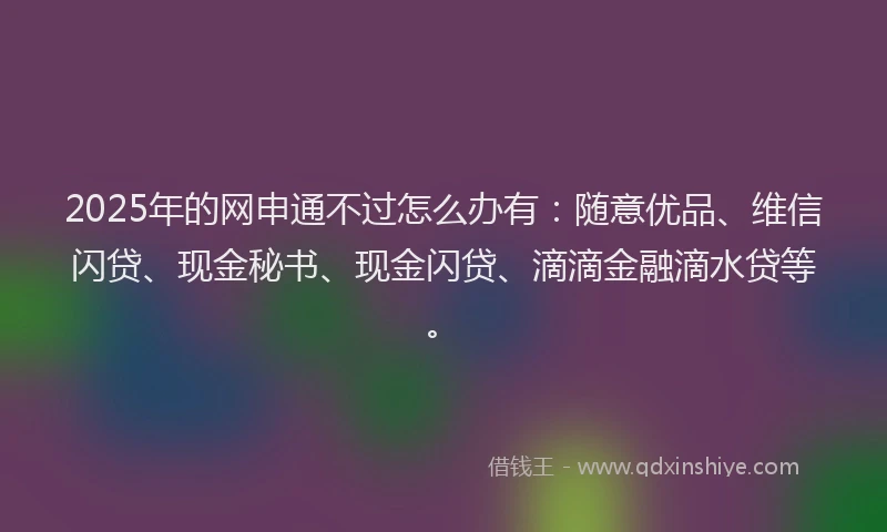 2025年的网申通不过怎么办有：随意优品、维信闪贷、现金秘书、现金闪贷、滴滴金融滴水贷等。