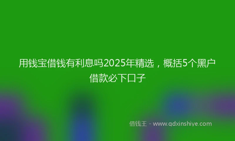 用钱宝借钱有利息吗2025年精选，概括5个黑户借款必下口子