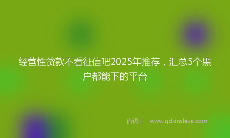 经营性贷款不看征信吧2025年推荐，汇总5个黑户都能下的平台