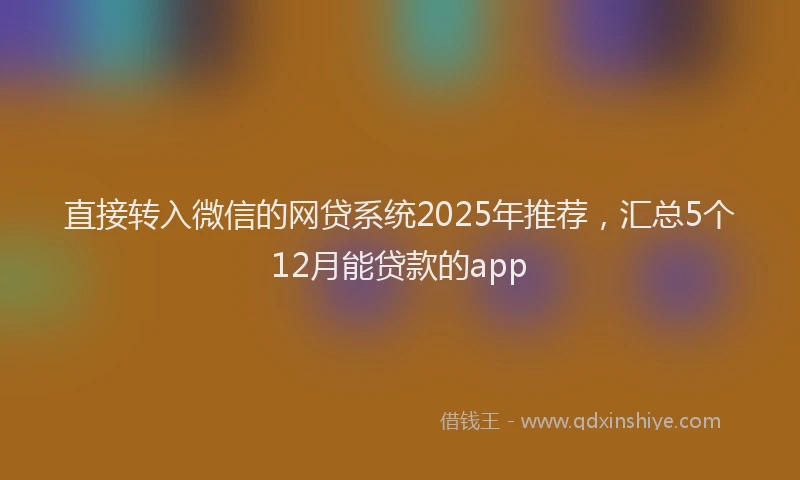 直接转入微信的网贷系统2025年推荐，汇总5个12月能贷款的app