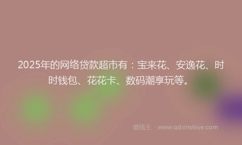 2025年的网络贷款超市有：宝来花、安逸花、时时钱包、花花卡、数码潮享玩等。