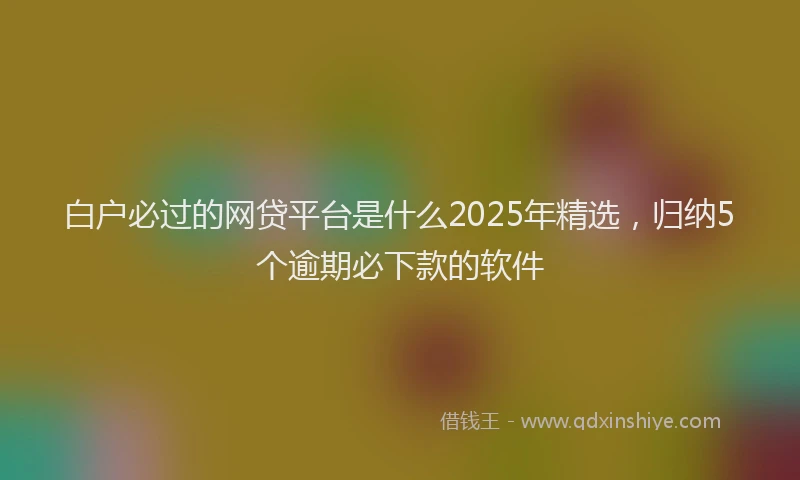 白户必过的网贷平台是什么2025年精选，归纳5个逾期必下款的软件