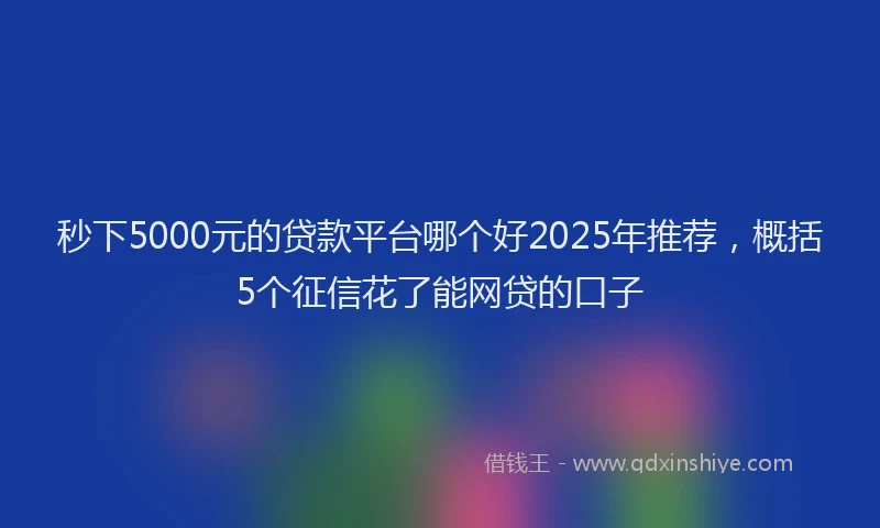 秒下5000元的贷款平台哪个好2025年推荐，概括5个征信花了能网贷的口子