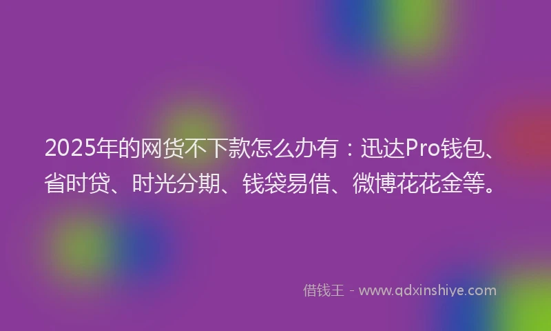 2025年的网货不下款怎么办有：迅达Pro钱包、省时贷、时光分期、钱袋易借、微博花花金等。