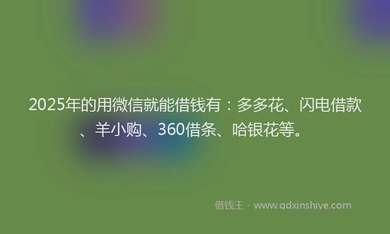 2025年的用微信就能借钱有：多多花、闪电借款、羊小购、360借条、哈银花等。