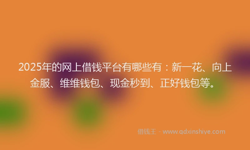 2025年的网上借钱平台有哪些有：新一花、向上金服、维维钱包、现金秒到、正好钱包等。