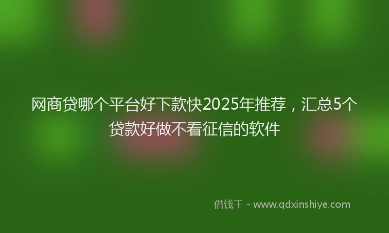网商贷哪个平台好下款快2025年推荐，汇总5个贷款好做不看征信的软件