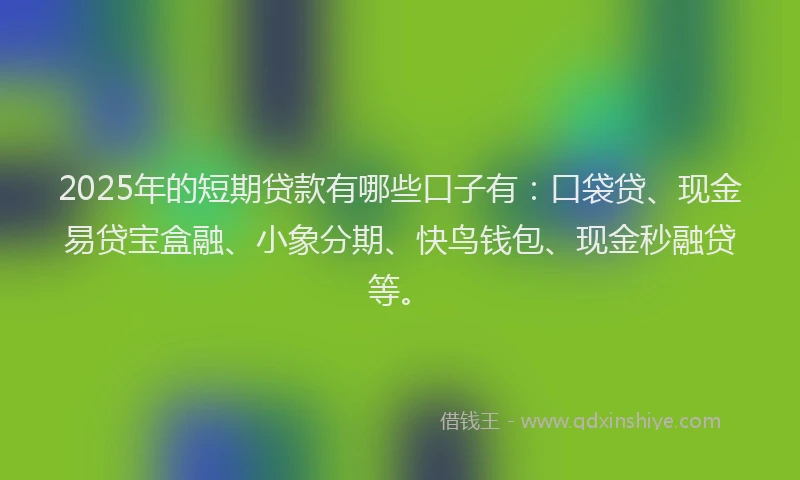 2025年的短期贷款有哪些口子有：口袋贷、现金易贷宝盒融、小象分期、快鸟钱包、现金秒融贷等。
