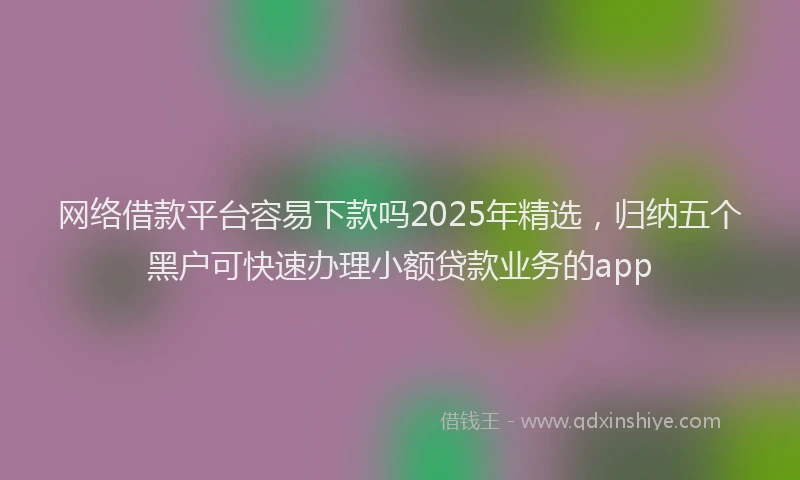 网络借款平台容易下款吗2025年精选，归纳五个黑户可快速办理小额贷款业务的app