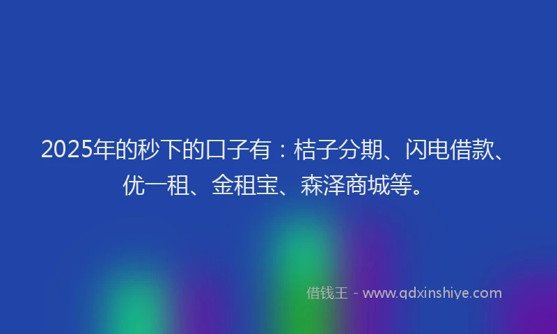 2025年的秒下的口子有：桔子分期、闪电借款、优一租、金租宝、森泽商城等。