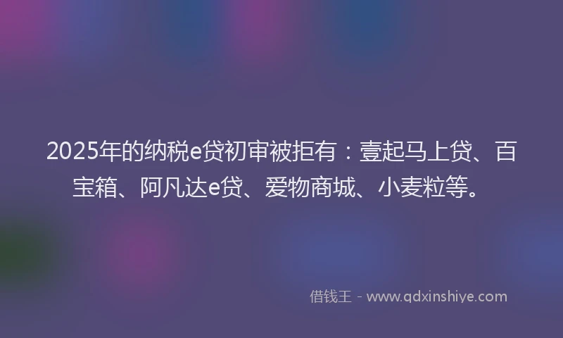 2025年的纳税e贷初审被拒有：壹起马上贷、百宝箱、阿凡达e贷、爱物商城、小麦粒等。