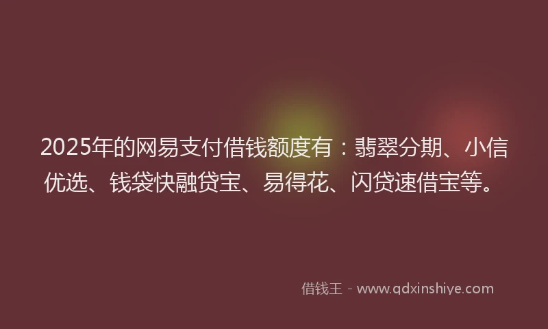 2025年的网易支付借钱额度有：翡翠分期、小信优选、钱袋快融贷宝、易得花、闪贷速借宝等。