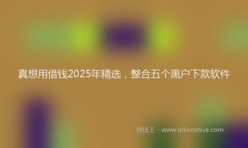 真想用借钱2025年精选，整合五个黑户下款软件