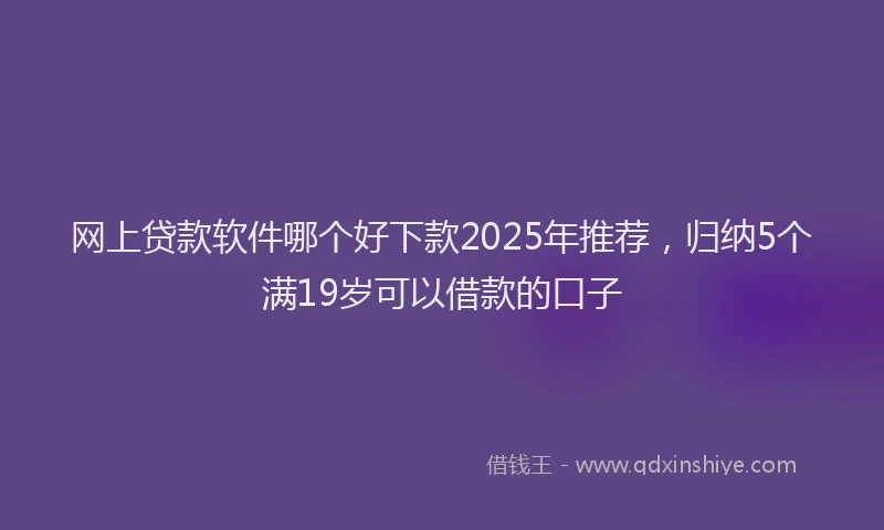 网上贷款软件哪个好下款2025年推荐，归纳5个满19岁可以借款的口子