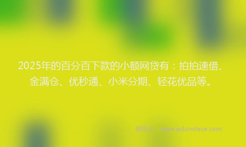 2025年的百分百下款的小额网贷有：拍拍速借、金满仓、优秒通、小米分期、轻花优品等。