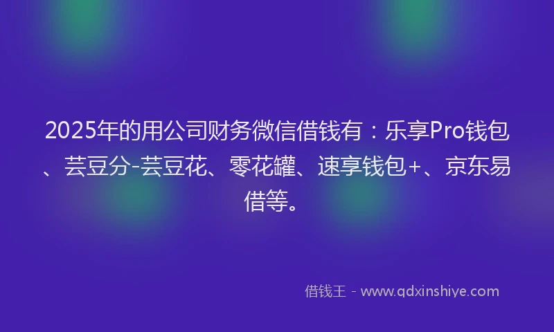 2025年的用公司财务微信借钱有：乐享Pro钱包、芸豆分-芸豆花、零花罐、速享钱包+、京东易借等。