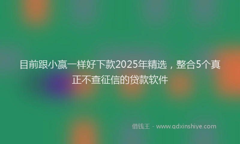 目前跟小赢一样好下款2025年精选，整合5个真正不查征信的贷款软件