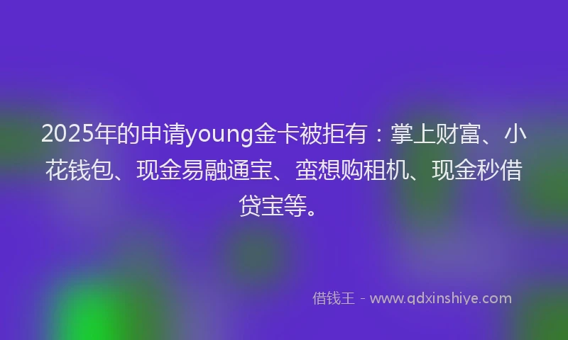 2025年的申请young金卡被拒有：掌上财富、小花钱包、现金易融通宝、蛮想购租机、现金秒借贷宝等。