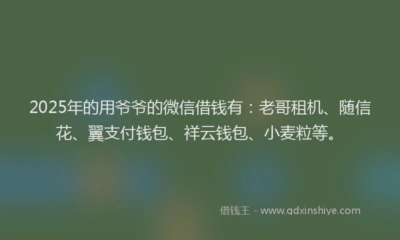 2025年的用爷爷的微信借钱有：老哥租机、随信花、翼支付钱包、祥云钱包、小麦粒等。