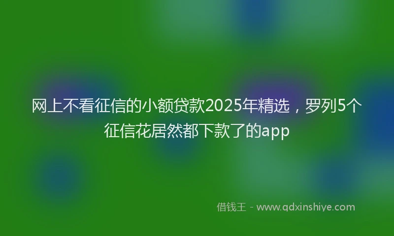网上不看征信的小额贷款2025年精选，罗列5个征信花居然都下款了的app