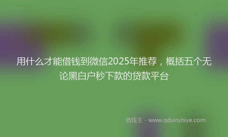 用什么才能借钱到微信2025年推荐，概括五个无论黑白户秒下款的贷款平台