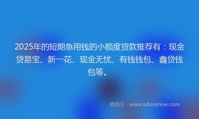 2025年的短期急用钱的小额度贷款推荐有：现金贷易宝、新一花、现金无忧、有钱钱包、鑫贷钱包等。