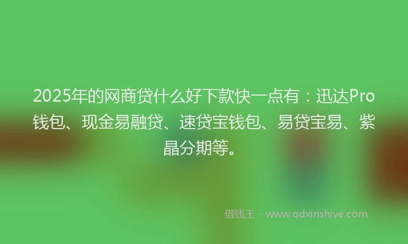 2025年的网商贷什么好下款快一点有：迅达Pro钱包、现金易融贷、速贷宝钱包、易贷宝易、紫晶分期等。