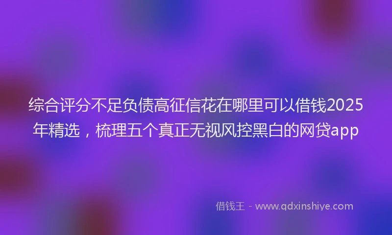 综合评分不足负债高征信花在哪里可以借钱2025年精选，梳理五个真正无视风控黑白的网贷app