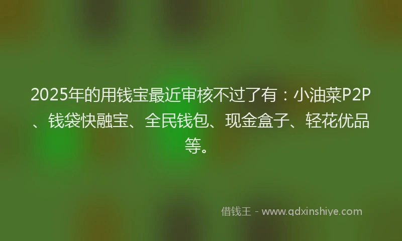 2025年的用钱宝最近审核不过了有：小油菜P2P、钱袋快融宝、全民钱包、现金盒子、轻花优品等。