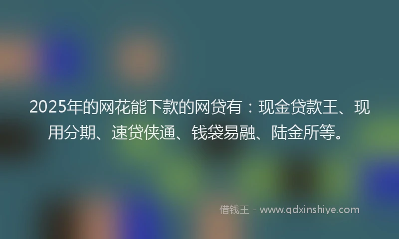 2025年的网花能下款的网贷有：现金贷款王、现用分期、速贷侠通、钱袋易融、陆金所等。