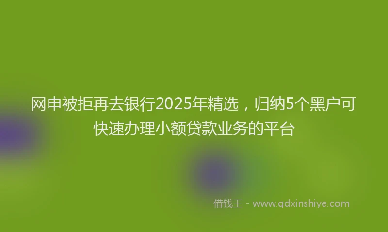 网申被拒再去银行2025年精选，归纳5个黑户可快速办理小额贷款业务的平台