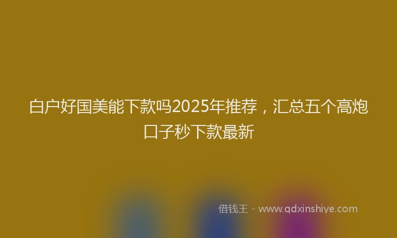 白户好国美能下款吗2025年推荐，汇总五个高炮口子秒下款最新